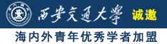 欧美大鸡巴操逼网站诚邀海内外青年优秀学者加盟西安交通大学